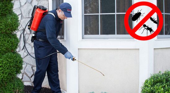 Adapazarı Karınca İlaçlama böcek ilaçlama ve haşere kontrolü — ilaclama-tr.com